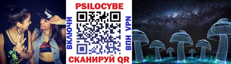 МЕГА Кашин Галлюциногенные грибы Psilocybe закладки