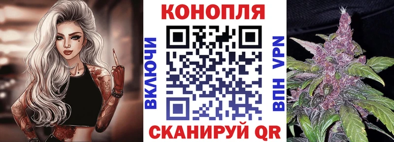 Бошки марихуана Amnesia Кашин